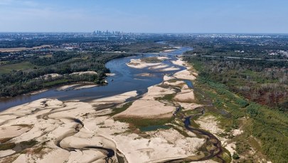 Alarmująco niski poziom wody w Wiśle w Warszawie. Nowy niepokojący rekord