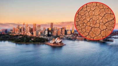 Alarmujący raport. "To nie prognoza"