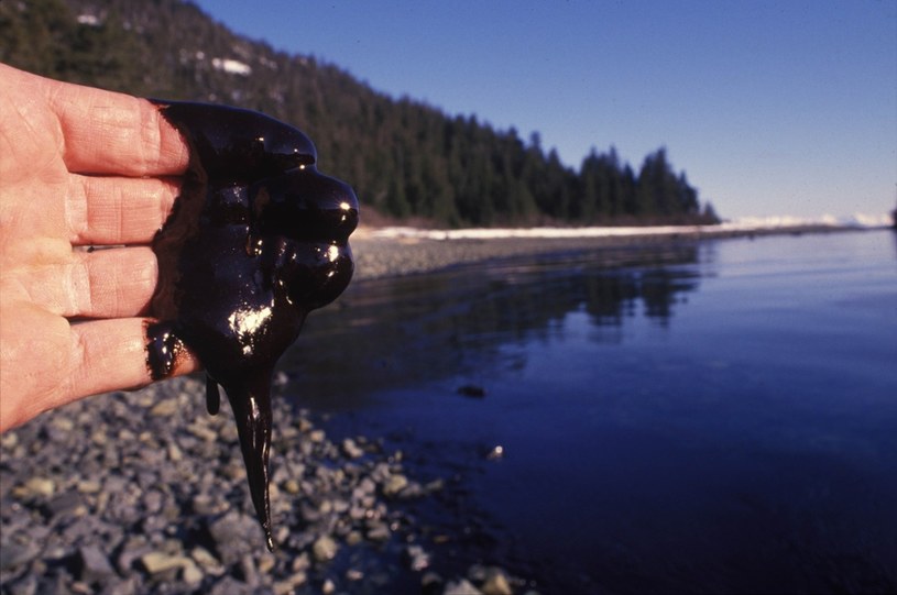 Alaska po katastrofie tankowca Exxon w 1989 roku /East News