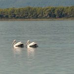 Albania: Lotnisko w parku narodowym