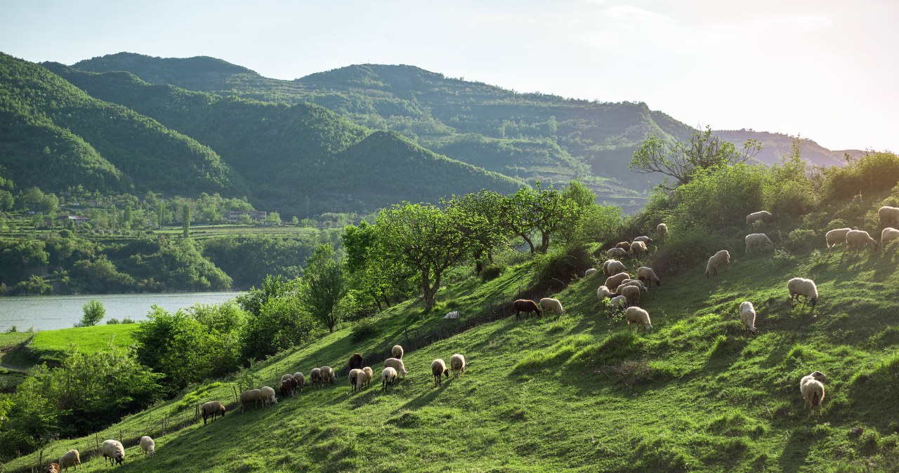 Albania to dobra opcja na zimowy urlop /123RF/PICSEL