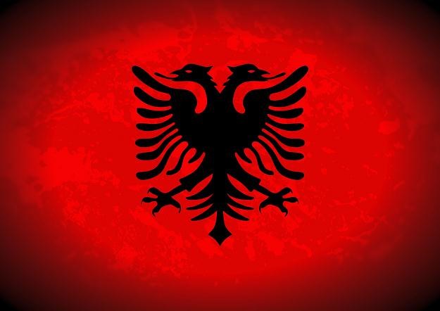Albańska policja poinformowała o aresztowaniu siedmiu pracowników banku centralnego /&copy;123RF/PICSEL