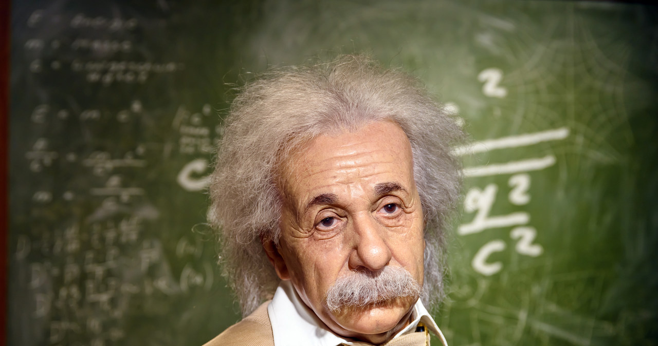 Albert Einstein /123RF/PICSEL