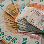 "Albo euro, albo dopadnie nas bieda". Jakie argumenty mamy za i przeciw euro w Polsce?