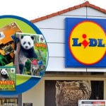 naklejki Album WWF w Lidl Polska - nowa akcja, która uczy dzieci miłości do przyrody