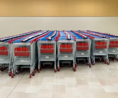 Aldi do końca 2021 roku będzie mieć 200 sklepów. Sieć nie wyklucza przejęć