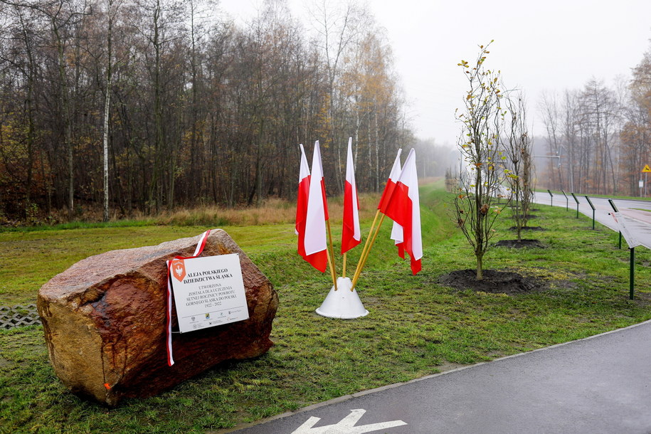 Aleja Polskiego Dziedzictwa Śląska w Katowicach /Tomasz Wiktor /PAP