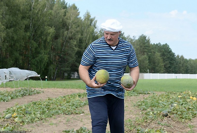 Aleksander Łukaszenka promuje się jako człowiek pracy /East News