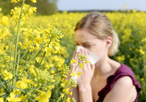 Alergia na pyłki. Objawy, kalendarz pylenia roślin i porady dla alergików