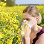 Alergia na pyłki. Objawy, kalendarz pylenia roślin i porady dla alergików