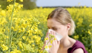 Alergia na pyłki. Objawy, kalendarz pylenia roślin i porady dla alergików