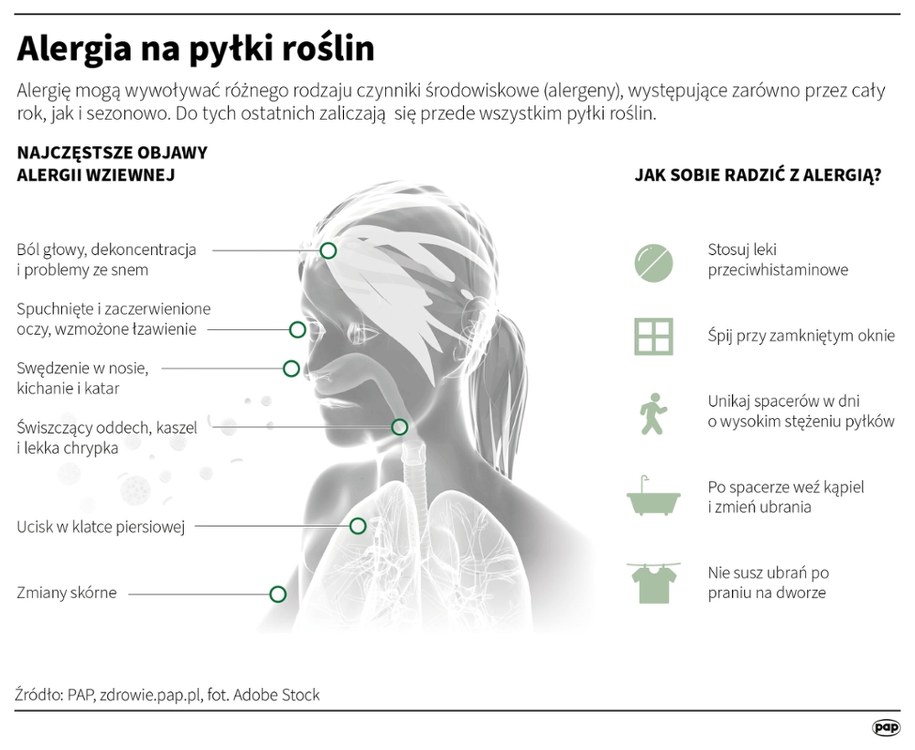Alergia na pyłki roślin /	Adam Ziemienowicz , Maria Samczuk , Mateusz Krymski /PAP