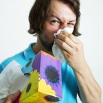 Alergia na pyłki. Smog i zmiany klimatyczne mają wpływ na uczulenie