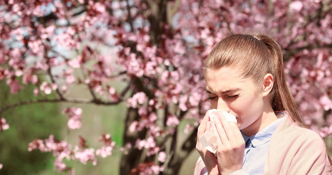 Alergia to poważny problem, wiążący się z wieloma przykrymi objawami. Wiosna to szczególnie trudny czas dla alergików uczulonych na pyłki. Jak sobie z tym poradzić? /123RF/PICSEL