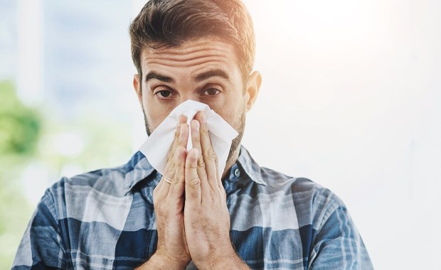 Alergia w mieście dokucza bardziej? Naukowcy z Krakowa wskazują winowajcę