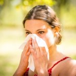 botanika Alergie na pyłki będą nam dokuczały dłużej. Powodem nie jest zmiana klimatu