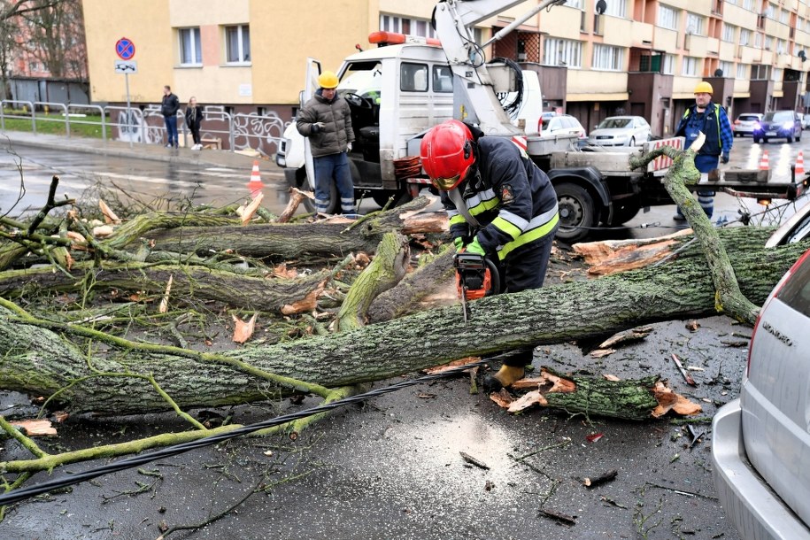 Alert IMGW : Silny wiatr w woj. mazowieckim i woj. południowo-wschodnich / 	Marcin Bielecki    /PAP