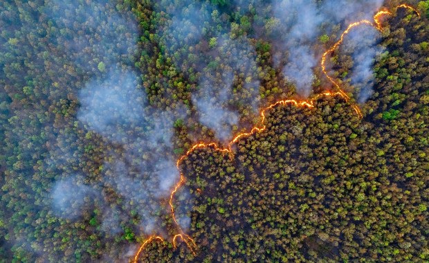​Alert RCB dla czterech województw. Duże zagrożenie w lasach