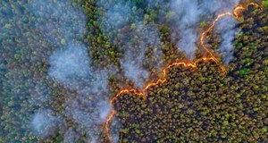 ​Alert RCB dla czterech województw. Duże zagrożenie w lasach
