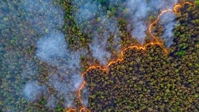 ​Alert RCB dla czterech województw. Duże zagrożenie w lasach