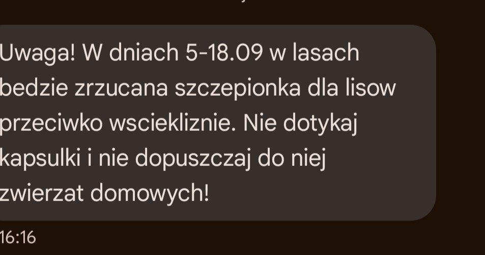 Alert RCB o szczepionkach dla lisów trafił do mieszkańców kilku województw. /Paula Drechsler /archiwum prywatne