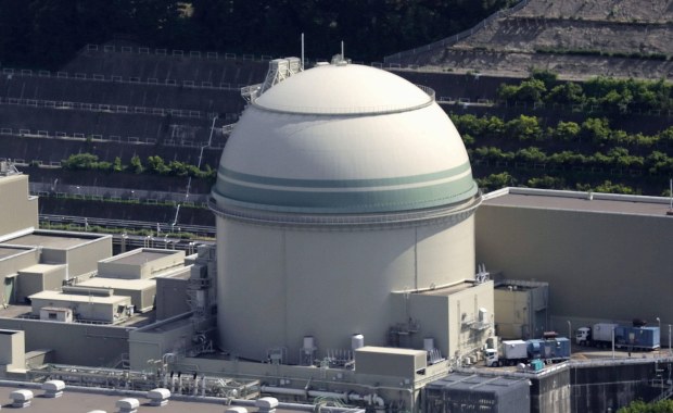 Alert w elektrowni atomowej. Wstrzymano pracę reaktora