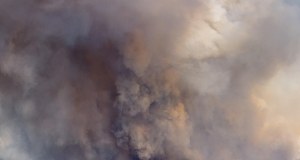 ​Alert w Holandii. Ogromny pożar na poligonie wojskowym