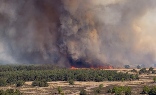 ​Alert w Holandii. Ogromny pożar na poligonie wojskowym