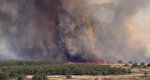 ​Alert w Holandii. Ogromny pożar na poligonie wojskowym