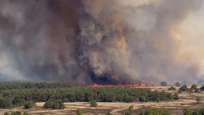 ​Alert w Holandii. Ogromny pożar na poligonie wojskowym