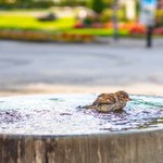 Alerty i upał. Prognoza pogody na weekend