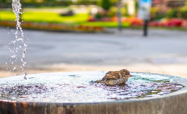 Alerty i upał. Prognoza pogody na weekend