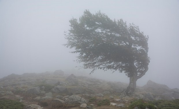 Alerty IMGW z powodu wichury. "Będzie bardzo niebezpiecznie"