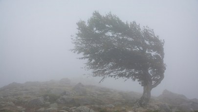 Alerty IMGW z powodu wichury. "Będzie bardzo niebezpiecznie"