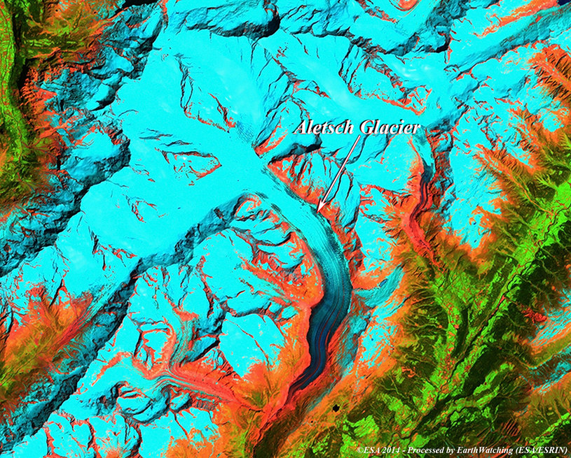 Aletschgletscher widziany z satelity. Obraz w fałszywych kolorach /materiały prasowe
