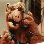 "Alf": Wraca kultowy serial!
