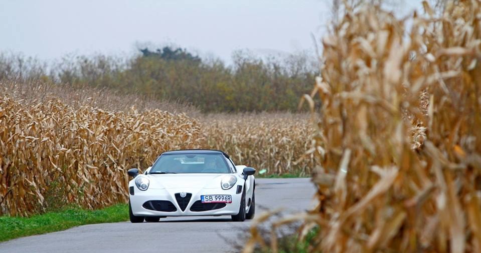 Alfa Romeo 4C Spider /INTERIA.PL