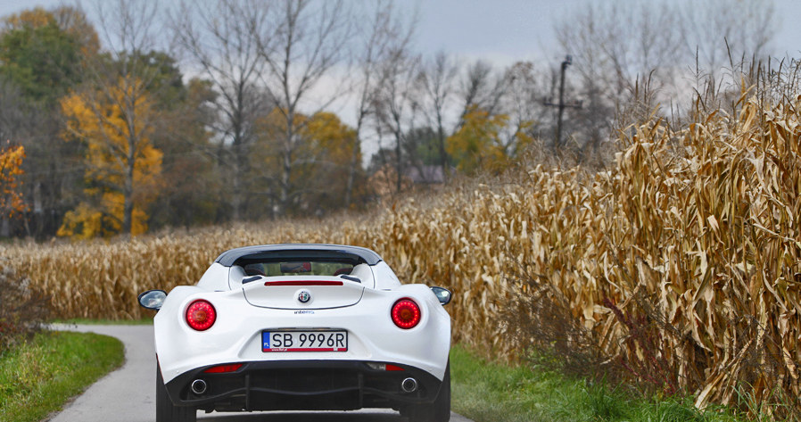 Alfa Romeo 4C Spider /INTERIA.PL