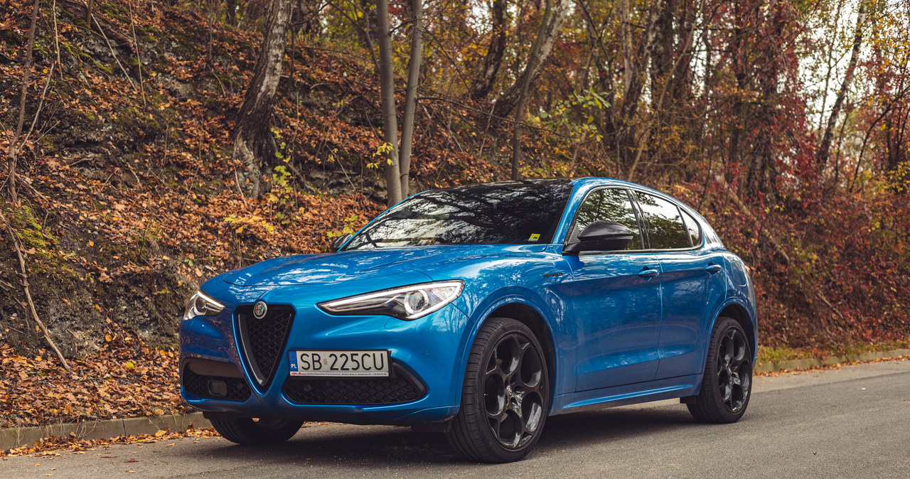 Alfa Romeo Stelvio Estrema /Karol Tynka /INTERIA.PL