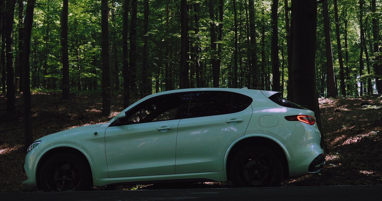 ​Alfa Romeo Stelvio Quadrifoglio /INTERIA.PL