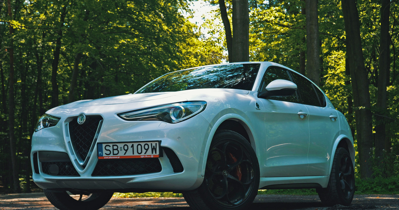 Alfa Romeo Stelvio Quadrifoglio /INTERIA.PL