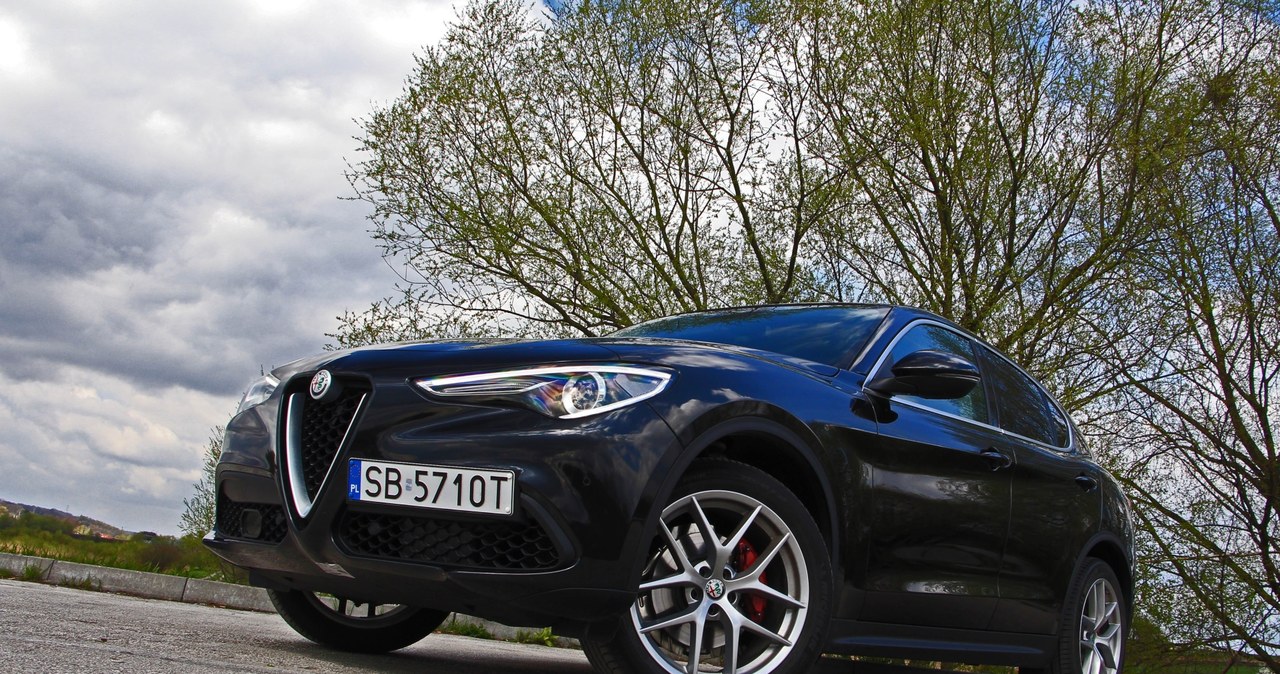 Alfa Romeo Stelvio /INTERIA.PL