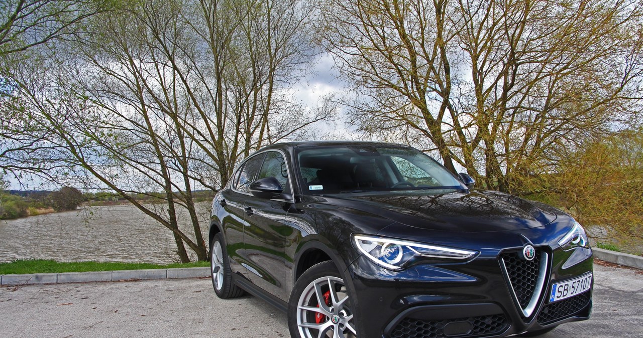 Alfa Romeo Stelvio /INTERIA.PL