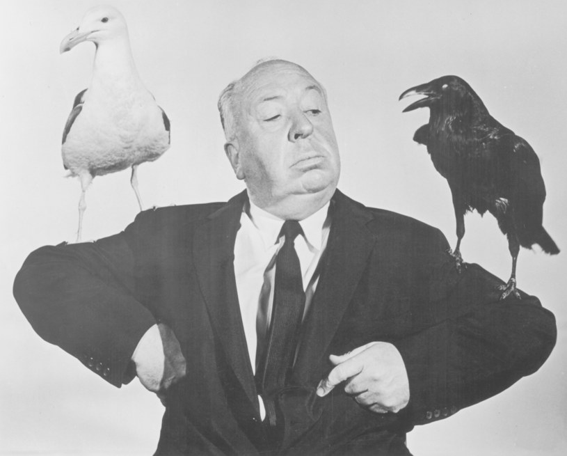 Alfred Hitchcock na grafice promującej film "Ptaki" / Hulton Archive / Handout /Getty Images