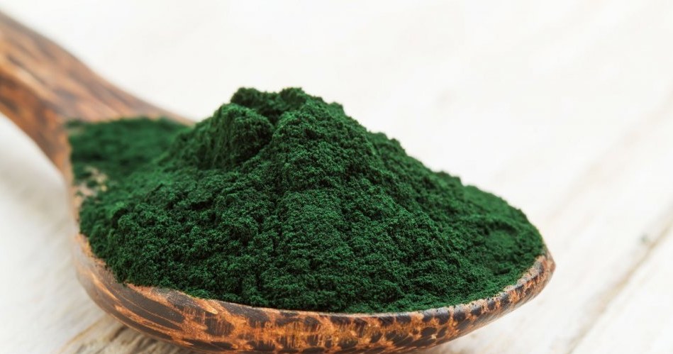 algi chlorella /© Photogenica