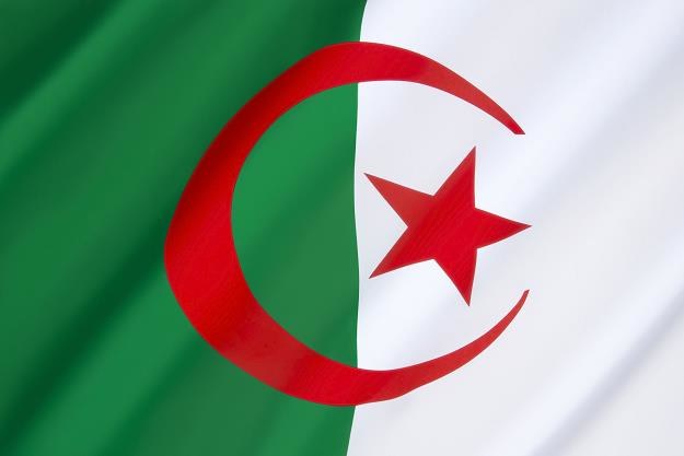Algieria jest największym producentem gazu ziemnego w Afryce /&copy;123RF/PICSEL