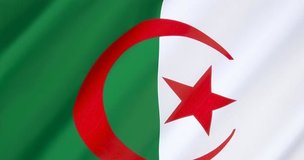 Algieria jest największym producentem gazu ziemnego w Afryce /&copy;123RF/PICSEL