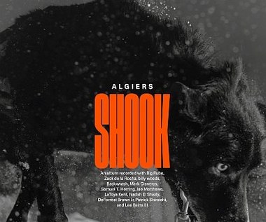 Algiers "Shook": Muzyka polityczna [RECENZJA]
