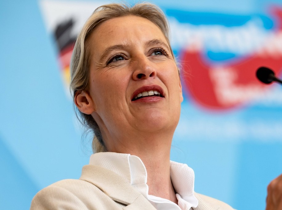 Alice Weidel, liderka AfD /MICHAEL KAPPELER /PAP