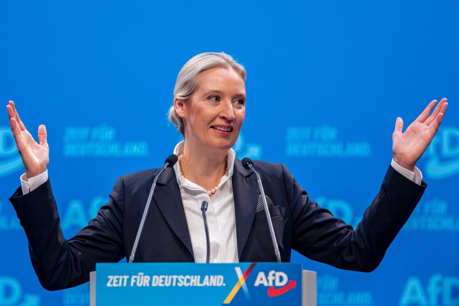 Alice Weidel /Martin Divisek /PAP/EPA